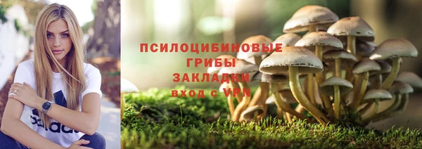 винт Алексеевка