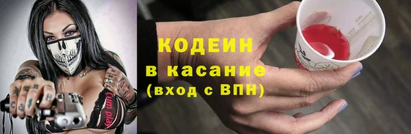 индика Армянск