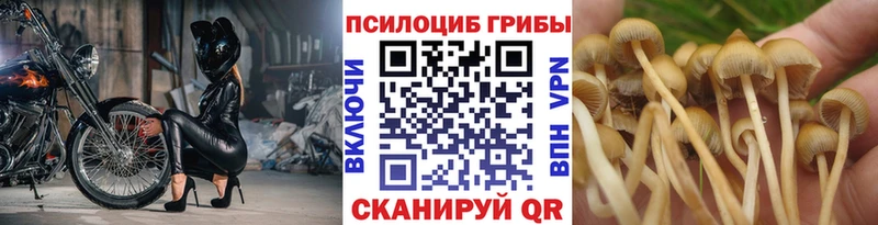 где можно купить наркотик  маркетплейс клад  МЕГА ссылки  Галлюциногенные грибы мицелий  Печоры 