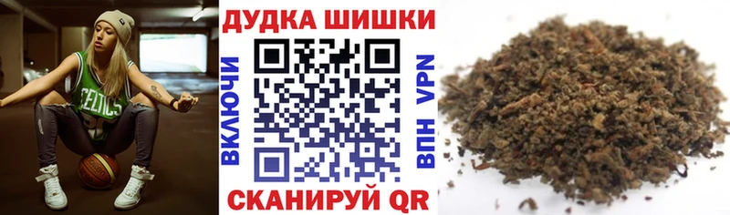 Конопля сатива  Печоры 